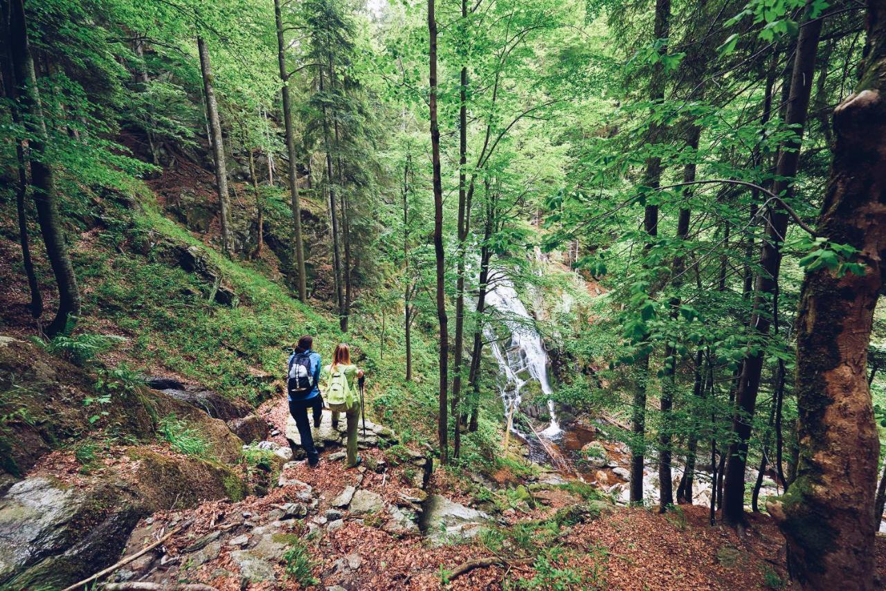 Pohorje Village Wellbeing Resort - Forest Apartments Videc Hočko Pohorje Dış mekan fotoğraf