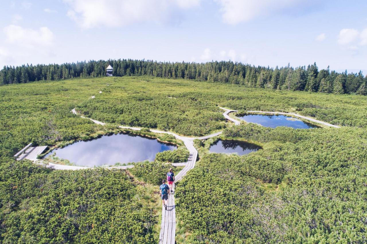 Pohorje Village Wellbeing Resort - Forest Apartments Videc Hočko Pohorje Dış mekan fotoğraf