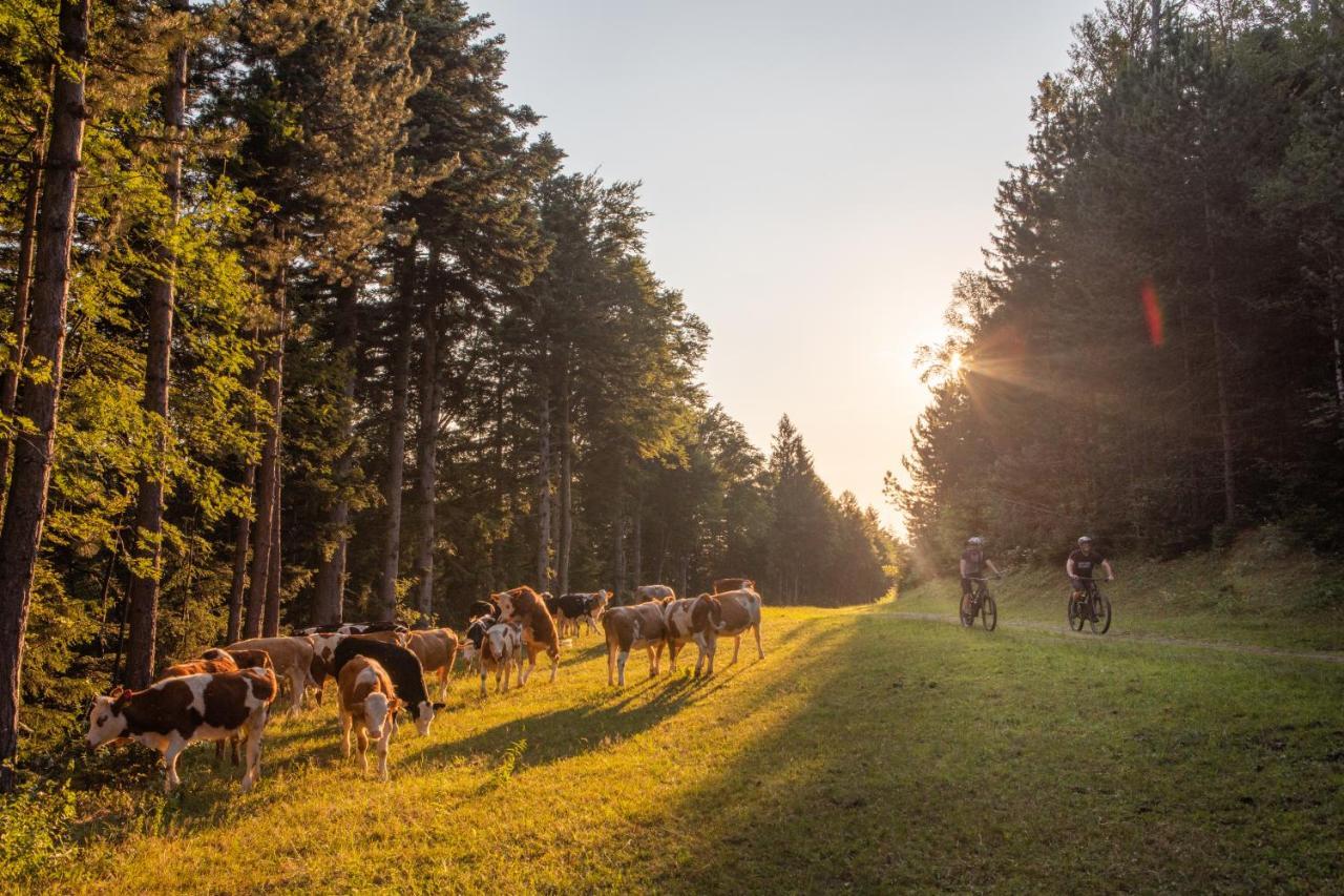 Pohorje Village Wellbeing Resort - Forest Apartments Videc Hočko Pohorje Dış mekan fotoğraf