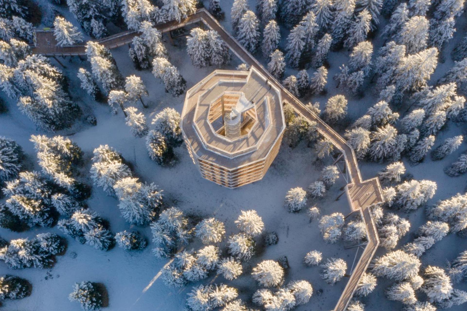 Pohorje Village Wellbeing Resort - Forest Apartments Videc Hočko Pohorje Dış mekan fotoğraf